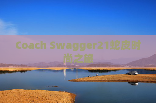 Coach Swagger21蛇皮时尚之旅